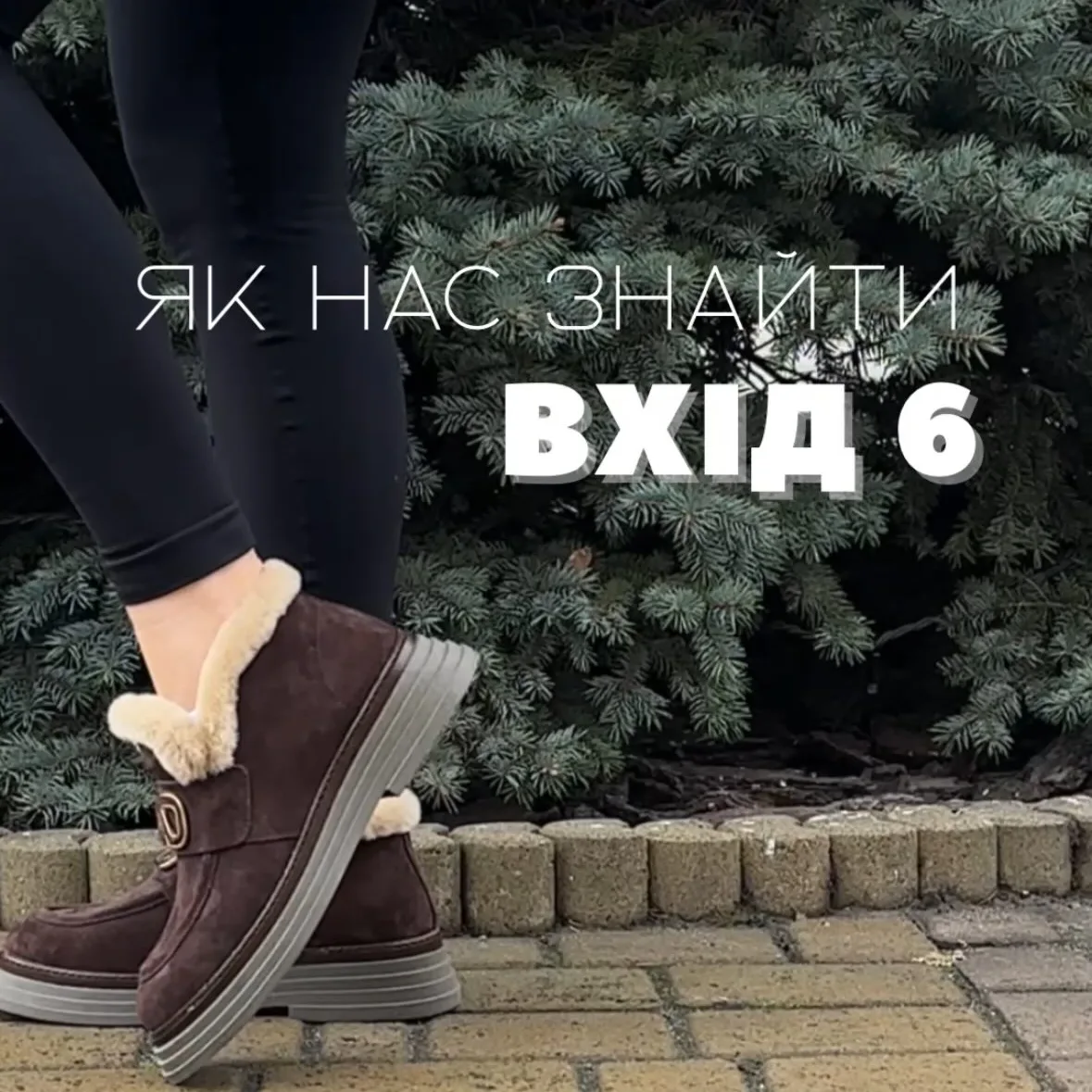 Як нас знайти: вхід 6